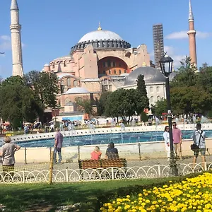Martı İstanbul